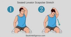 Upper Back Stretches for Back Pain Relief