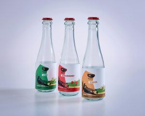 Health Benefits of Kombucha: A Chiropractor’s Perspective